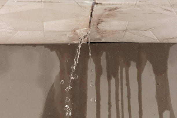 Professional Flood Damage Cleanup technician working in Ashley, MI